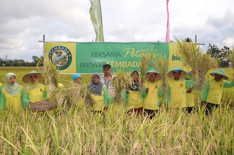 Kelompok Tani Desa Papayan: Solusi Pengentasan Kemiskinan Berbasis Pertanian